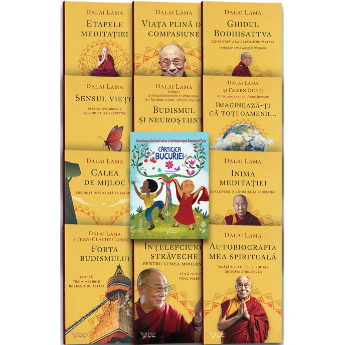 G0215-36★未開封　THE DALAI LAMA DVD 慈悲の力 Pachet seria Dalai Lama - Editura For You